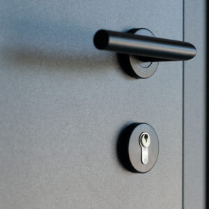 Fenstermaxx24 – FM haustueren drucker blackline 01 11