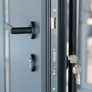 Fenstermaxx24 – FM haustueren drucler blackline 02 13