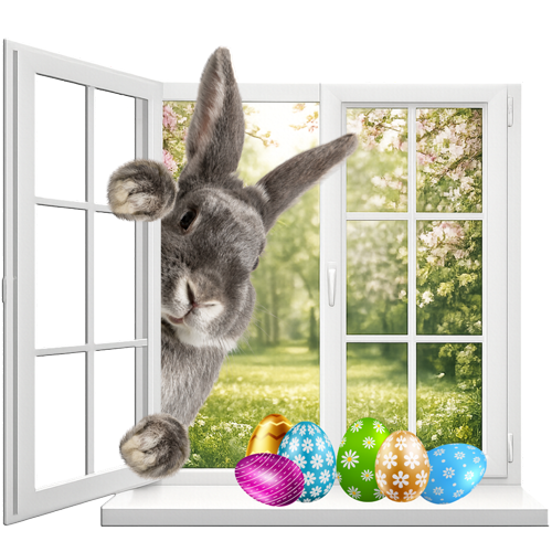 FMX24_Zwischenbanner_Ostern_2026